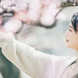 【夢占い】桜の夢の意味38選 | 桜と雪の夢、咲き始めや濃い色、写真を撮る夢は？