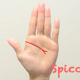 頭脳線・知能線の枝分かれ（二股・3本）の意味20選！幸運？［手相占い］