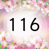 エンジェルナンバー116の意味とは？恋愛・復縁・片思い・結婚・仕事