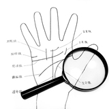 手相の本おすすめ人気ランキング15選！初心者が独学で勉強するやり方