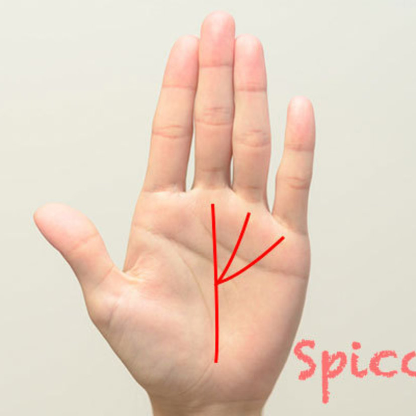 あったらすごい手相15選 特殊で珍しい 最高に素晴らしい Spicomi