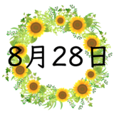 8月28日生まれの性格・恋愛・結婚・金運・星座・有名人【誕生日占い】