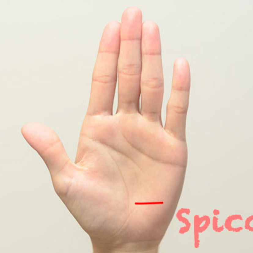 放縦線の意味10選！右手左手・島・フィッシュ・スター[手相]