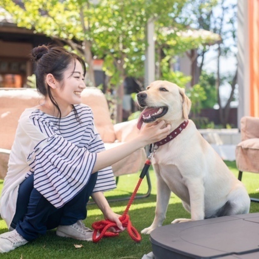 犬の生まれ変わりのサイン7個！再会・見分け方・いつ何年？