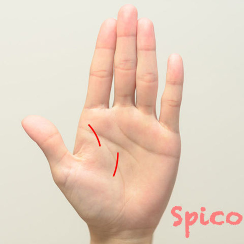 手相で斜め線の意味は 左手右手 小指の下 中指の下 Spicomi