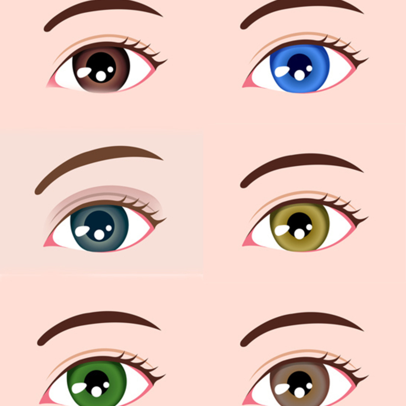 目の色の意味と性格の種類一覧！珍しい瞳の色［人相学］