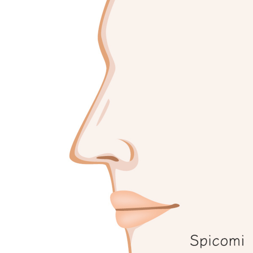 ギリシャ鼻の特徴と性格17個！横顔・日本人芸能人