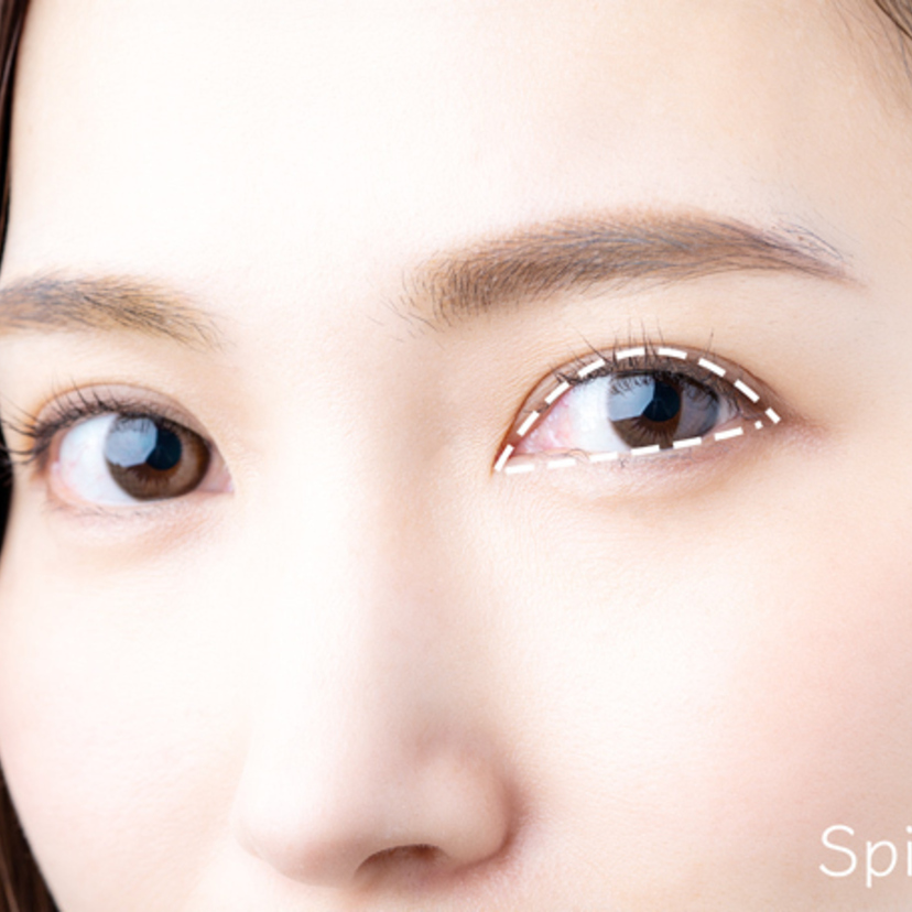 半月目の性格や特徴 半月型の目は可愛い 芸能人 Spicomi 半月目の性格や特徴 半月型の目は可愛い 芸能人 Spicomi