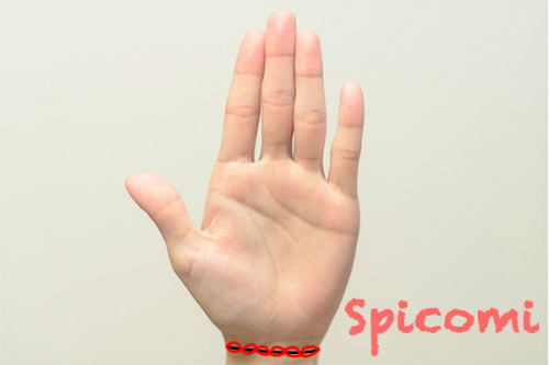 手相占い 鎖状 チェーン状 の意味14個 生命線 感情線 頭脳線 Spicomi