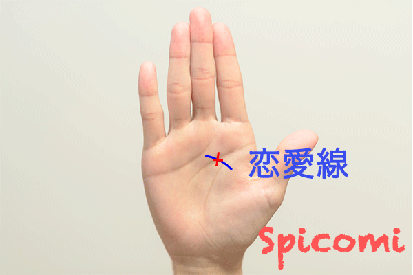 手相占い 恋愛線の意味と見方22選 大恋愛の年齢や結婚時期がわかる Spicomi