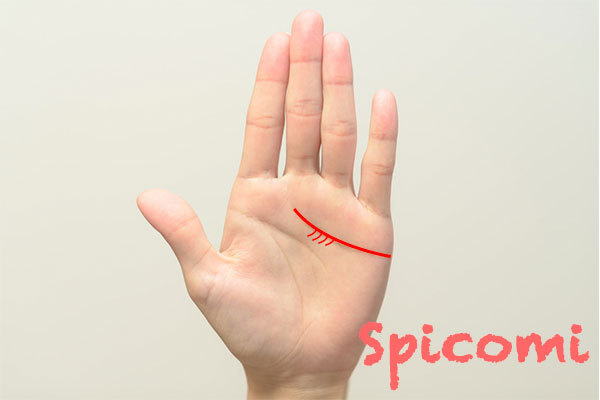 感情線の枝分かれ 二股 3本 4本 の意味15選 左手 右手 手相占い Spicomi