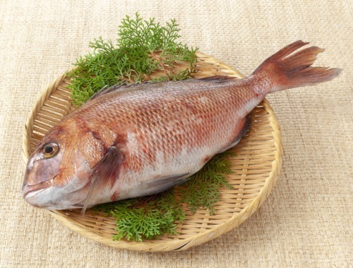 夢占い 魚の夢の意味51選 魚を食べる 大きな魚 川 噛まれる Spicomi