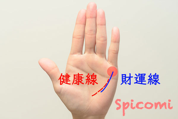手相で健康線の意味18選 右手左手 濃い 二股に枝分かれ Spicomi