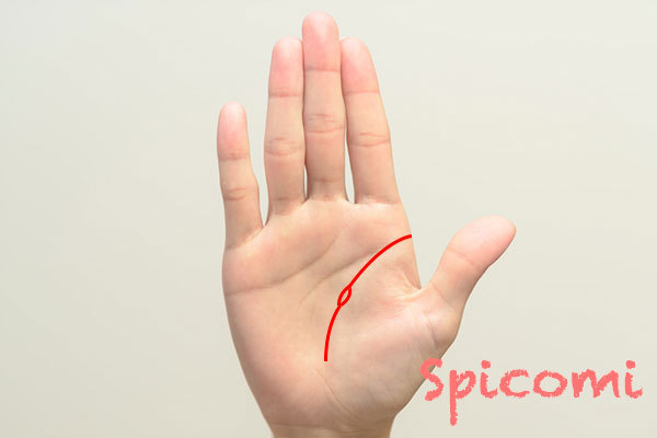 生命線に島があるときの意味6選 大きい 島だらけ 左手 右手 Spicomi