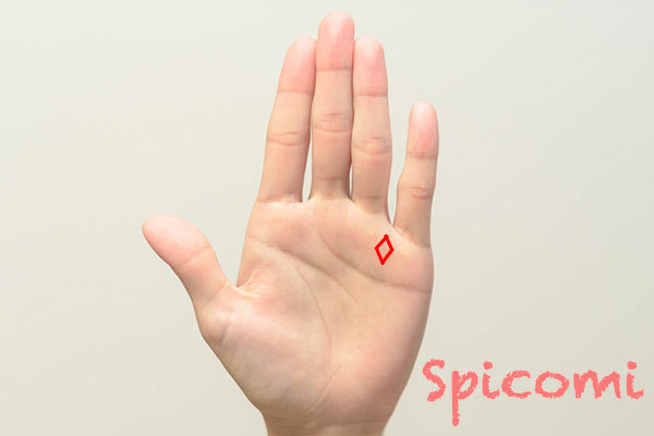 薬指と小指の間のひし形・四角紋
