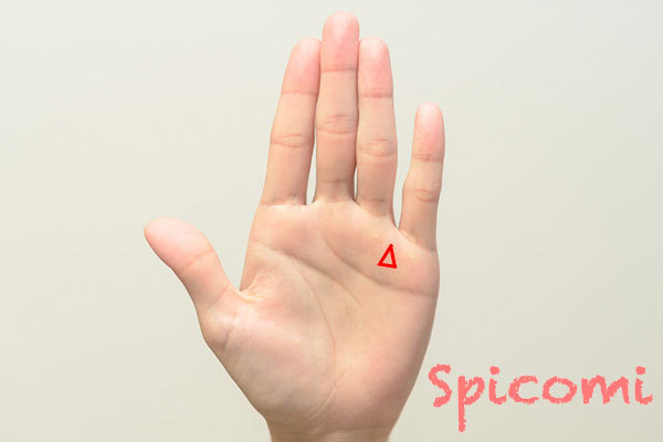 薬指と小指の間の三角紋
