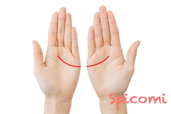 あったらすごい手相15選 特殊で珍しい 最高に素晴らしい Spicomi