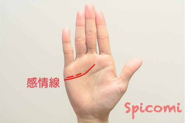 感情線の上に横線が切れ切れに連なっている場合