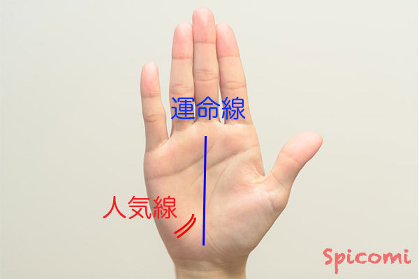 人気線(寵愛線)が2本以上複数ある