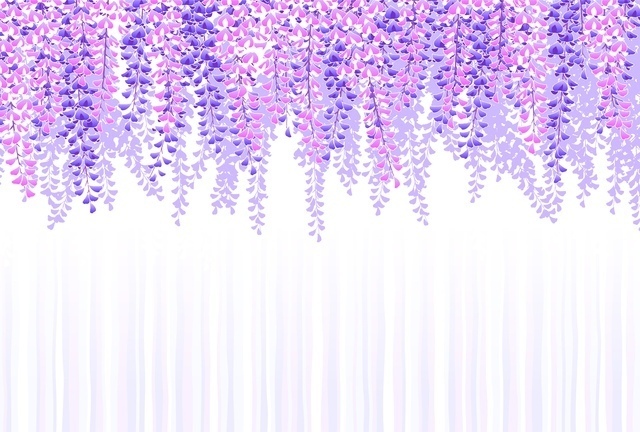 藤文様(ふじもんよう)