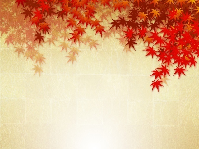 紅葉文様(もみじもんよう)