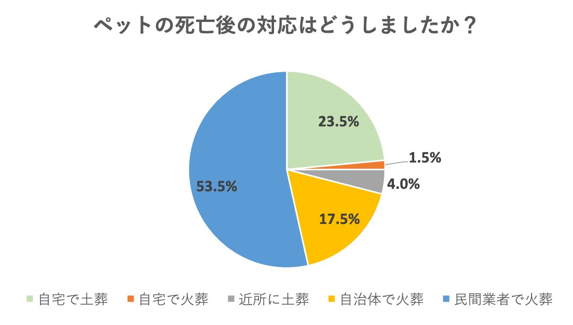 ペットが死んだらどうする?死亡後の対応方法