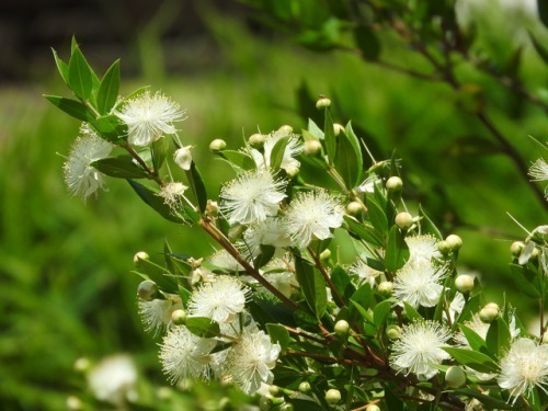 2月9日生まれの運勢 性格 恋愛 結婚 金運 星座 誕生日占い Spicomi