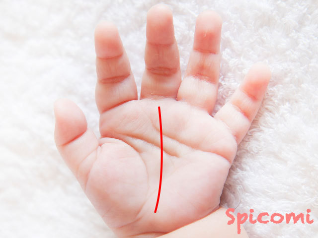 赤ちゃんの手相の意味と見方 右手左手 変わる くっきり Spicomi