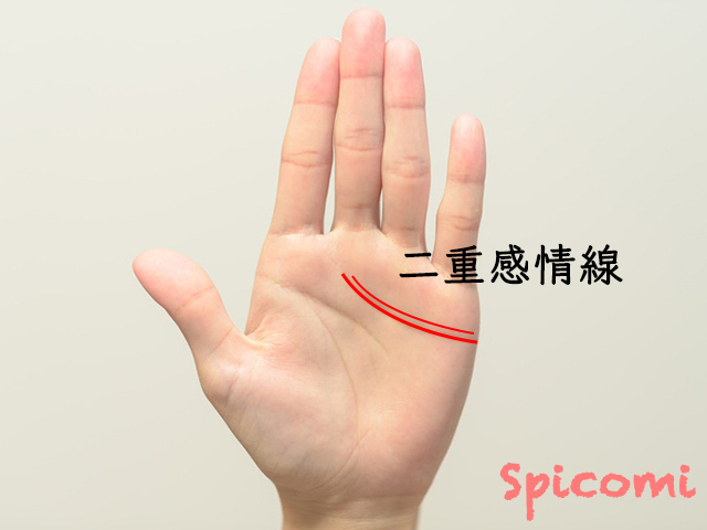 分離感情線の意味とは 右手左手両手 離婚 有名人 Spicomi