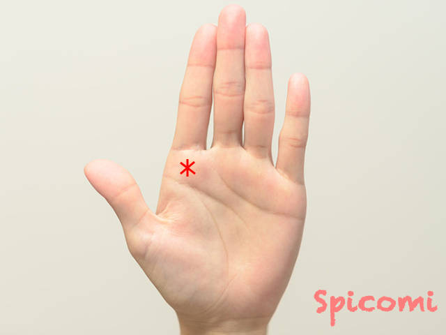 手相の木星丘 人差し指の下 のスター線の意味は Spicomi