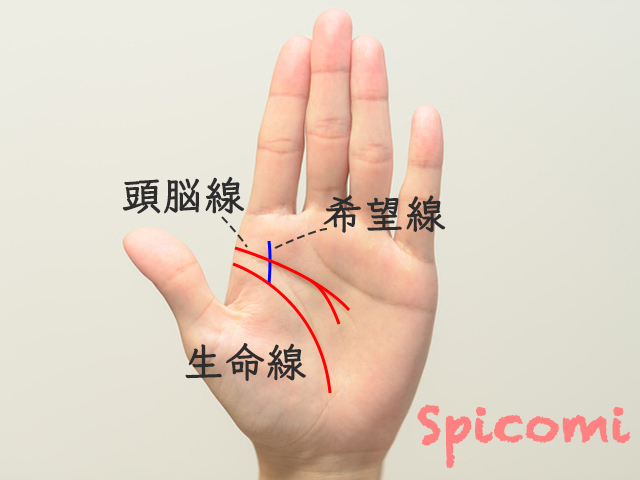 営業職向きの手相
