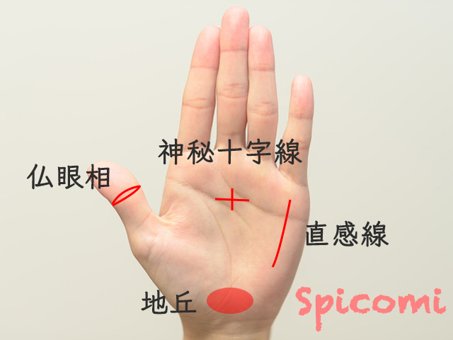 スピリチュアル職向きの手相