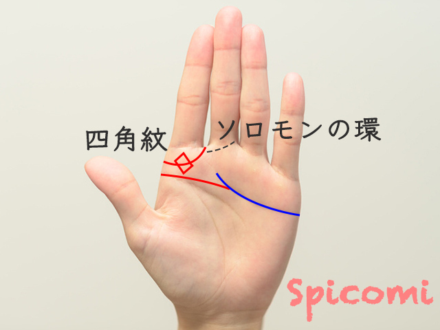 教職・指導者向きの手相