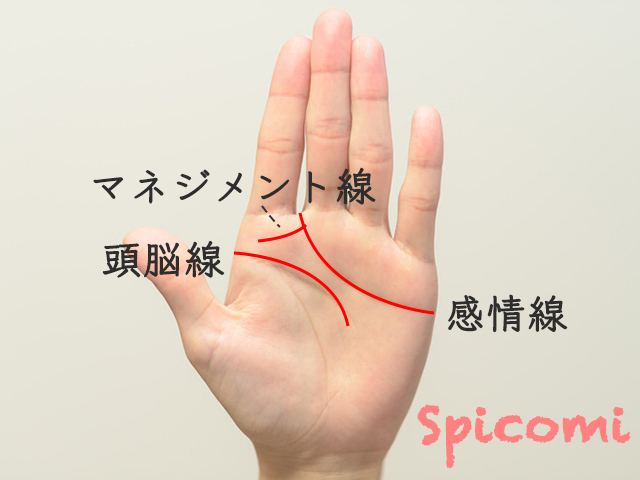 管理職向きの手相