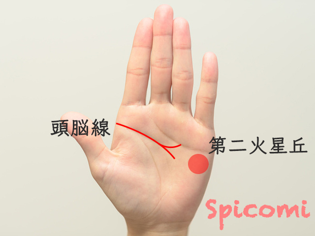 IT系職種向きの手相