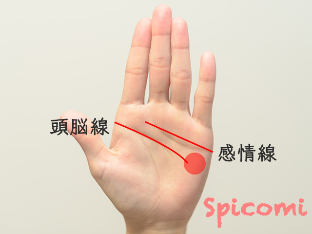 研究職・専門職・職人向きの手相