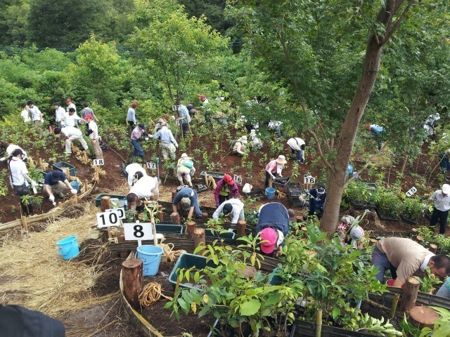 出雲大社総社の地元市民による植樹祭