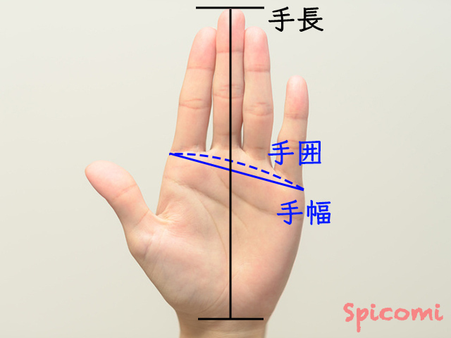 手が小さいの基準は?遺伝?