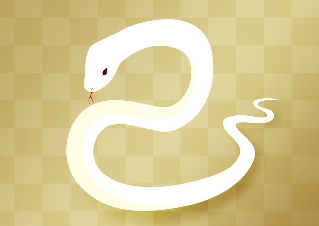 白蛇が守護霊でついている人の特徴7個