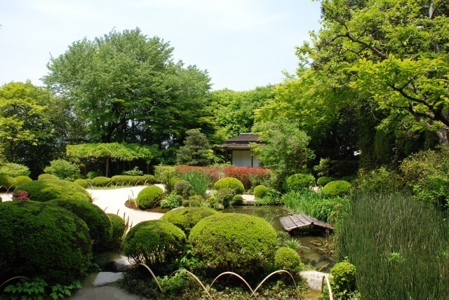 詩仙堂丈山寺の庭