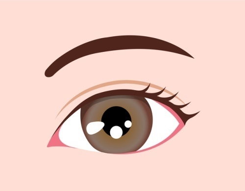 琥珀色の目（アンバー）の意味と運勢