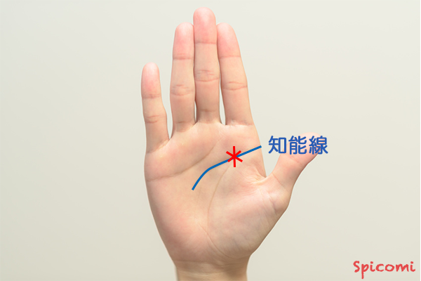 手相占いのスター線 星紋 の意味19選 位置別 宝くじ当選 Spicomi