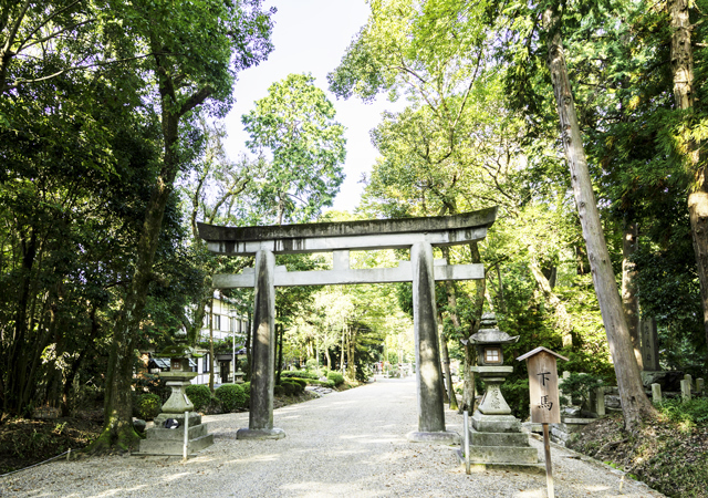 神社に歓迎されていないサイン14個