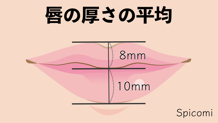 たらこ唇の厚さの基準は?