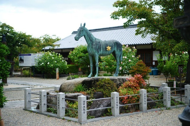 橘寺の黒駒像