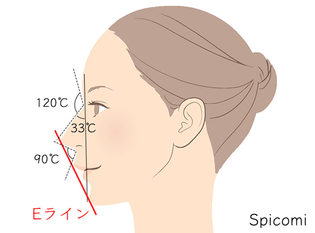美しい鼻の形とは?