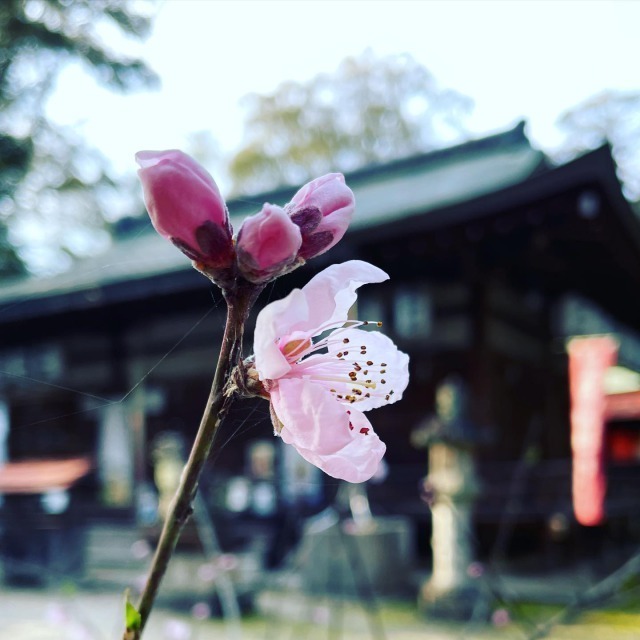 村屋神社のイメージ