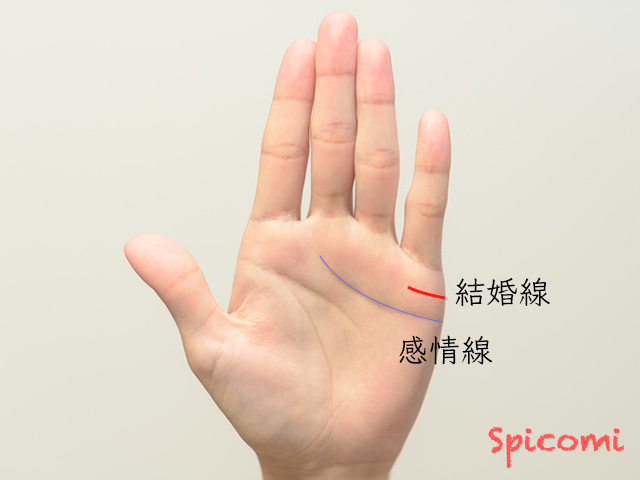 手相占いで結婚線の意味とは?