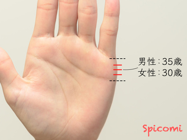 結婚線の年齢の見方