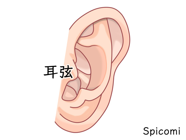 耳の付け根(耳弦)のニキビ占い